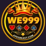we999 game